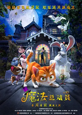 老司机在线视频二区