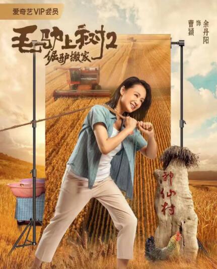 你懂得资源网站在线观看