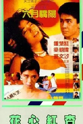 亚洲视频二
