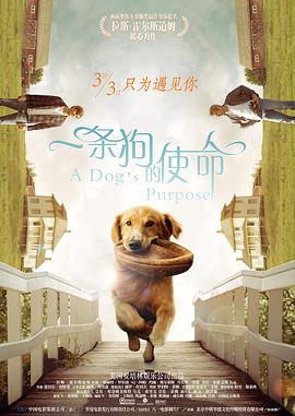 午夜久久av