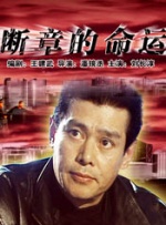 国产精品视频h