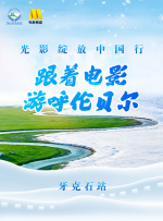 满天星在线观看完整免费高清原声