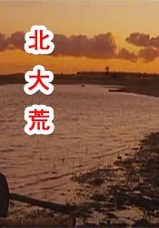 国产网站在线