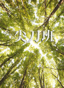 亚洲国产精品欧美日韩一区二区