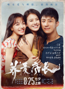 黄色动漫在线