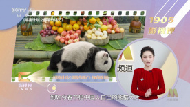 魅魔义母
